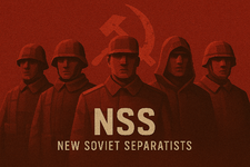 NSS.png